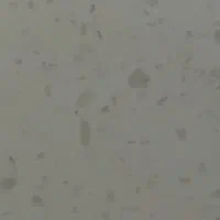 حسابدار یا کمک حسابدار