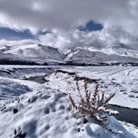 ملک تجاری مسکونی