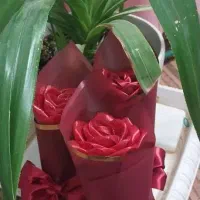 گل ربانی