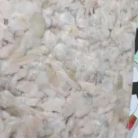 ملوک و انکاس و میگو تمیزشده وفیله شده آماده پخت