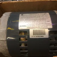 دینام‌ الکتروژن