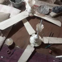 پنکه‌سقفی‌2عددسالم‌