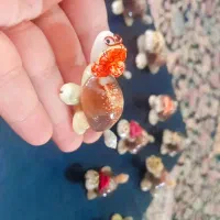 تزئینات صدف اصل هم دونه ای هم چند تایی