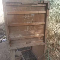 قفس  فروشی|لوازم جانبی حیوانات|امیدیه, |دیوار