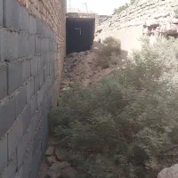 زمین