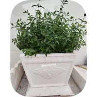 موزائیک،دورباغچه و گلدان سنگ مصنوعی|مصالح و تجهیزات ساختمان|استهبان, |دیوار