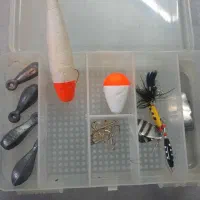 لنسر ماهی گیری