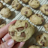 بهترین و باکیفیت ترین کوکی|خدمات پذیرایی، مراسم|اقبالیه, |دیوار