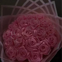 دسته گل ۲۰شاخه صورتی کمرنگ