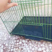 قفس درحدنو توضیحات را بخون|لوازم جانبی حیوانات|قم, شهرک امام حسن|دیوار