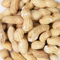 بادام زمینی غلاف شور