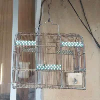 تعدادی قفس سهره|لوازم جانبی حیوانات|شیراز, شهرک مفتح|دیوار