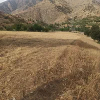 زمین-فروشی-روستای-دریله-روی-جاده-اصلی-سد-ازاد