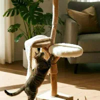 اسکرچر تمام چوب