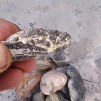 سنگ همه رقم