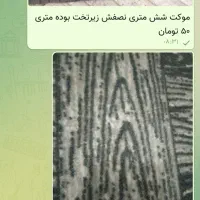 موکت