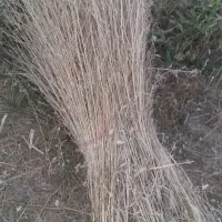 جارو|لوازم نظافت|نهاوند, |دیوار