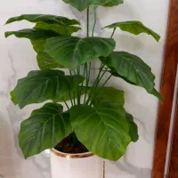 درختچه مصنوعی