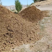 انبار گاوفروشی