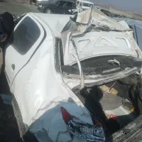 206sdمدل91|خودرو سواری و وانت|سقز, |دیوار