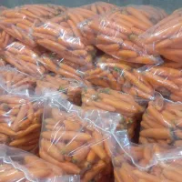 فروش هویچ و ترب با کیفیت ،تنی