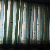 پرده کریشه