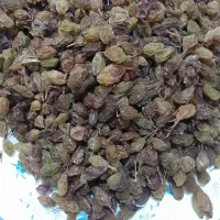 کشمش سبز|خوردنی و آشامیدنی|فولادشهر, فولادشهر|دیوار