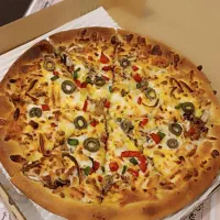 پیتزا وکباب ساندویچ  استیک و غذای ایرانی