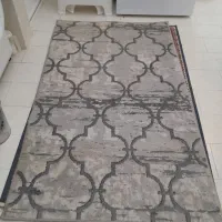 فقط یک تومان