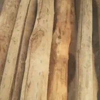 خریدو فروش تیر چوبی سقفی