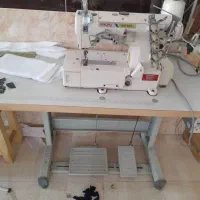 میاندوز بایو در حد