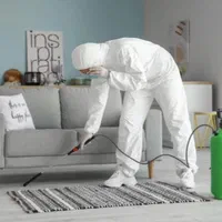 سم پاشی موریانه زدایی آبادان سمپاشی ساس گال سوسک