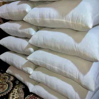 تولیدی پشتی