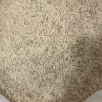 برنج طارم فجر گرگان