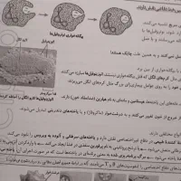 کتاب کمک درسی یازدهم|لوازم التحریر|سنقر, |دیوار