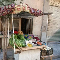 گاری میوه  سفارشی ساخته شده درجه یک فنردار