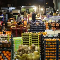 اجاره حجره میدان میوه و تره بار چالوس