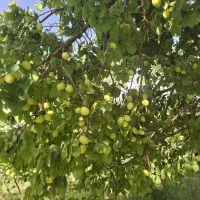 جذب سرمایه گذار