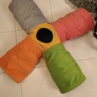 تونل بازی گربه