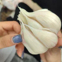 سیر طارم ۷۰ تومن