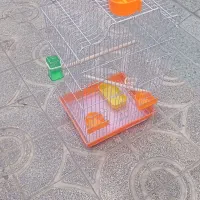 قفس پرنده بزرگ