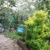 سویت مبله|اجارهٔ کوتاه‌مدت آپارتمان و سوئیت|رضوانشهر, |دیوار