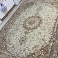 فرش|فرش|دامغان, |دیوار