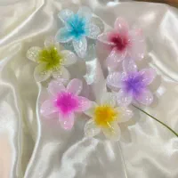 گیره پلورمیا