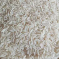 برنج هاشمی محلی