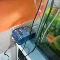 آکواریوم شیشه خم با ماهی و وسایل|ماهی|میاندوآب, |دیوار