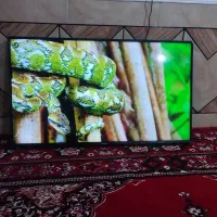 تلویزیون ال ی دی 55هایسنس 4K
