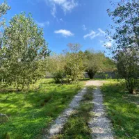 ۲۳۷۱ مسکونی با ویلا + سند|فروش خانه و ویلا|رضوانشهر, |دیوار