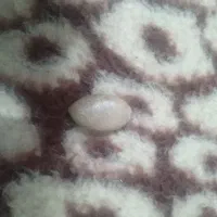 سنگ تزیینی|کلکسیون و سرگرمی|کرمان, |دیوار