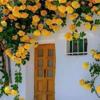 ویلایی سه طبقه یکجا تراب نجف زاده